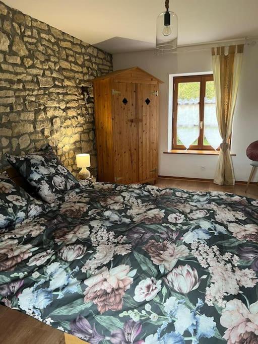 Maison Ray Sur Saone Ray-sur-Saone Zewnętrze zdjęcie